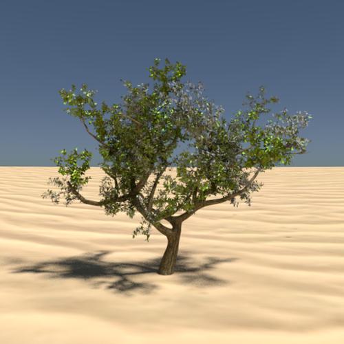 Eugenia Tree preview image